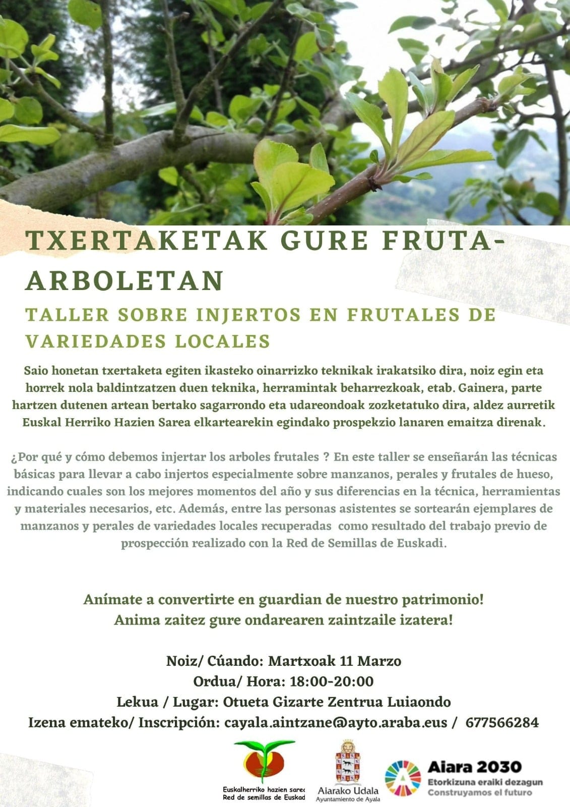 En este momento estás viendo Txertaketak Gure Fruta-Arboletan – Taller Sobre Injertos en Frutales de Variedades Locales