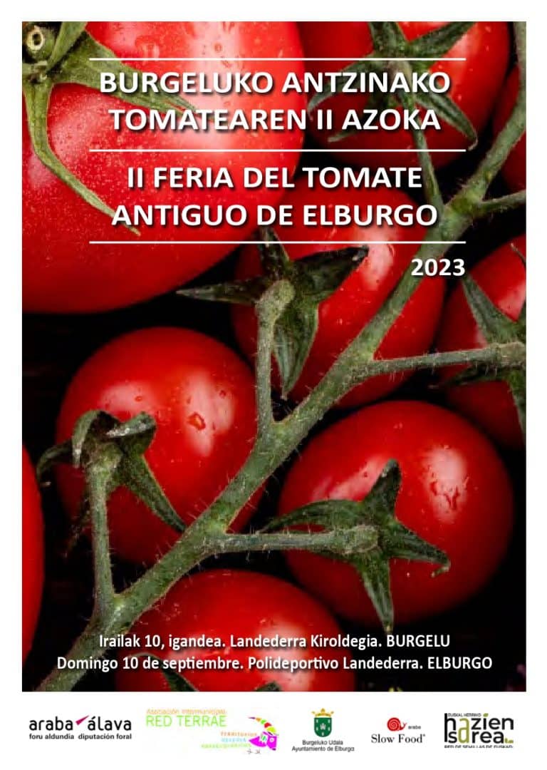 Lee más sobre el artículo Burgeluko antzinako tomatearen II. azoka |II Feria del tomate antiguo de Elburgo